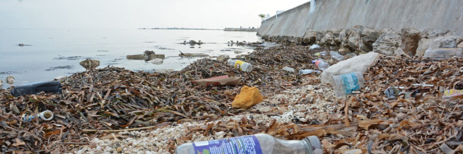 Abril 2 de 2.017 – Contaminación Ambiental