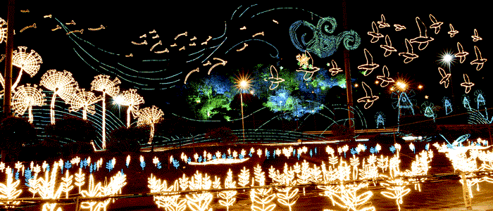 Diciembre 9 de 2.018 – Navidad