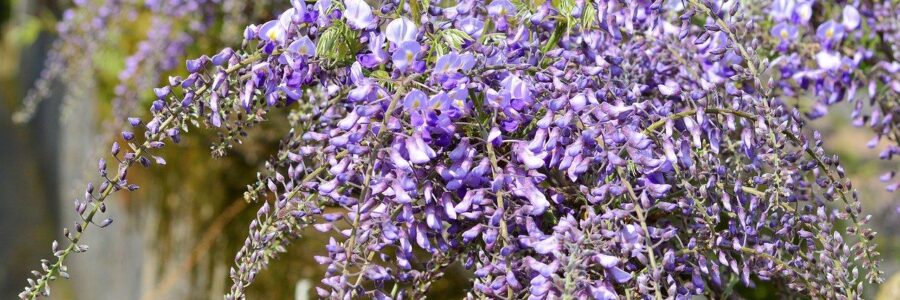 Septiembre 12 de 2021 – Añoranzas del Ayer