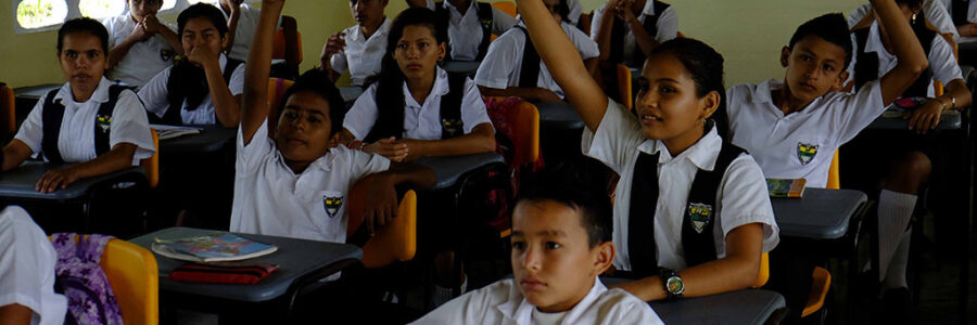 Noviembre 20 de 2022 – Noviembre Alegre