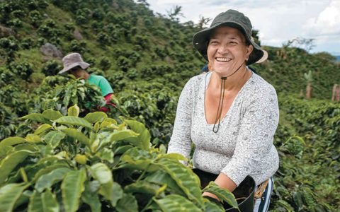 Enero 2 de 2.026 – Añoranza Campesina