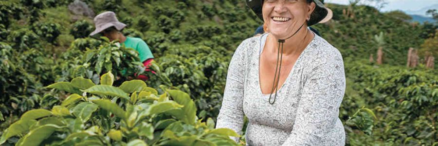 Enero 2 de 2.026 – Añoranza Campesina